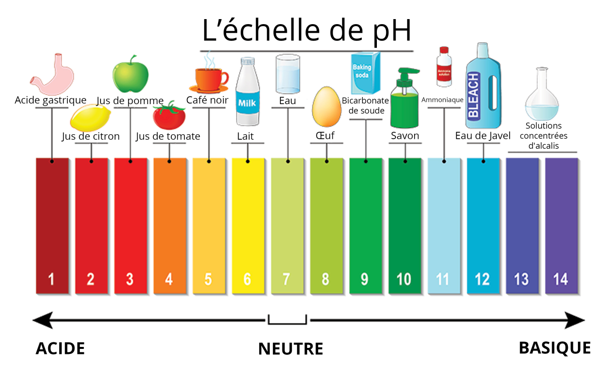 Le Sol Et Ses Acronymes | Terracottem