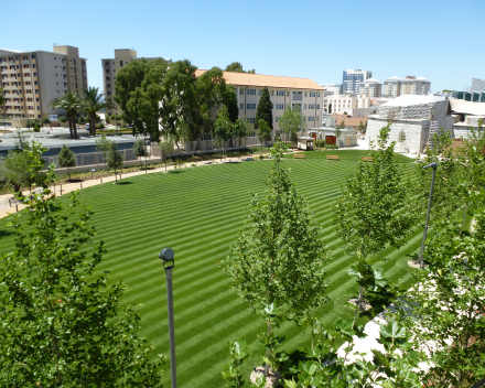 First anniversary of TerraCottem Turf application at Commonwealth Park