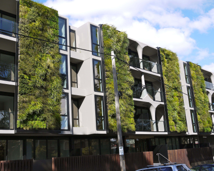 Groene wanden voor duurzame gebouwen en steden